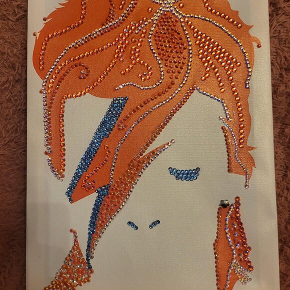 Ziggy Stardust Canvas & Wood Frame w/ Hand-Set Color Changing Austrian Crystals